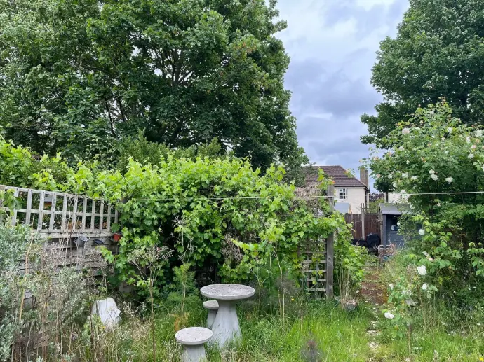 garden london before tidying up