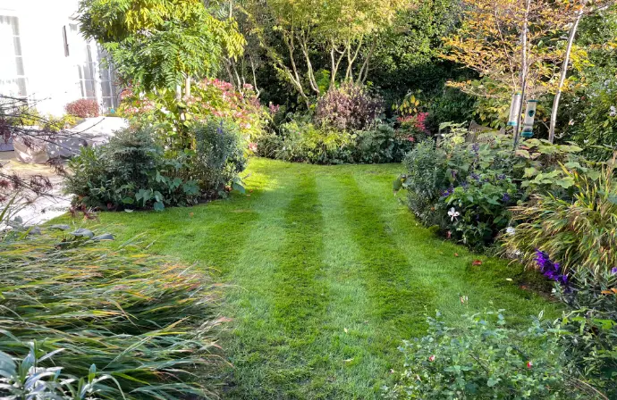 garden in buckhurst hill
